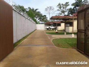 Tres bellos apartamentos en san carlos