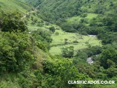 Urge vender finca de 100 hectareas con ganado