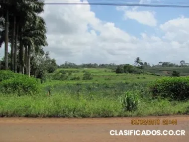 Vender finca la trinchera