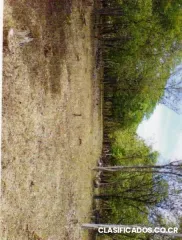 Vendo 8 lotes individuales en sardinal carrillo guanacaste