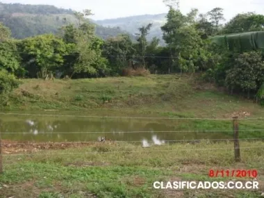 Vendo el mejor terreno de la zona