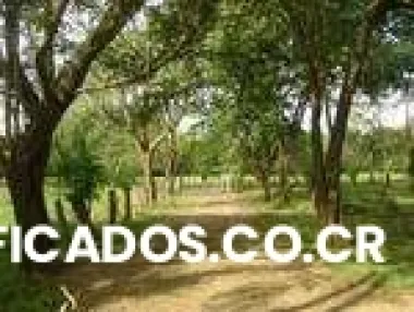 Vendo en flamingo,guanacaste hermoso terreno