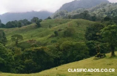 Vendo finca con agua termal