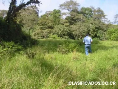 Vendo finca de 4 hectareas en coronado $8.50 m2