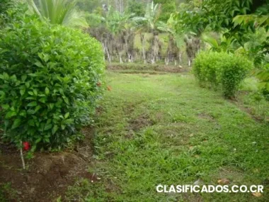 Vendo finca de dos manzanas