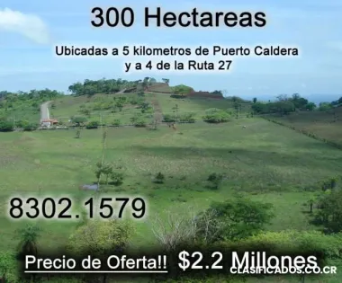Vendo finca en caldera, esparza 300 hect.