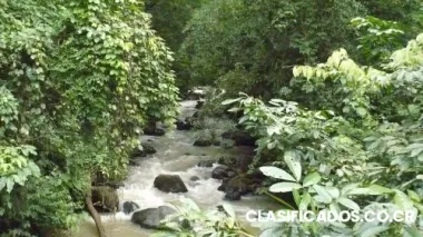 Vendo finca en costa rica