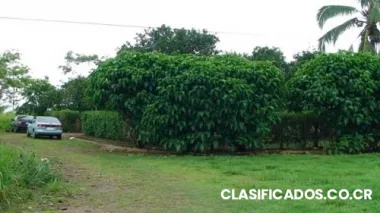 Vendo finca en los chiles