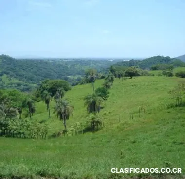 Vendo finca esparza puntarenas ganga