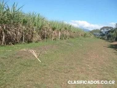 Vendo finca perez zeledon