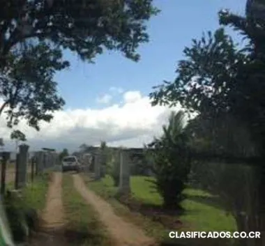 Vendo hermoso lote a tan solo 5 minutos de guapiles centro