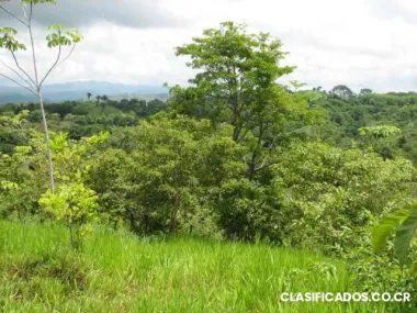 Vendo linda finca en vista de mar de puriscal