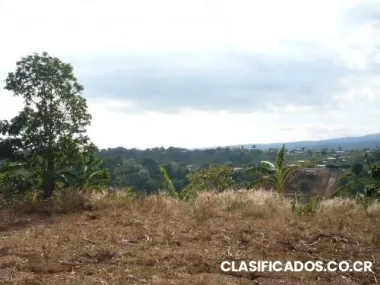 Vendo linda propiedad en gertrudis de grecia