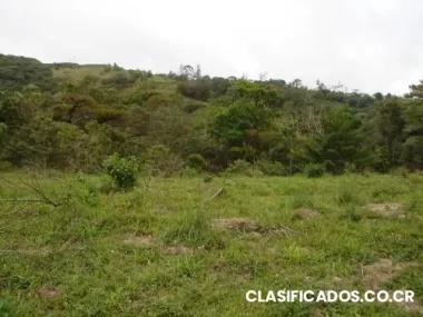 Vendo lote en arenal