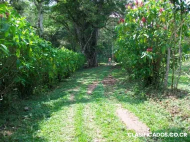 Vendo lote en jaris de mora, ciudad colon