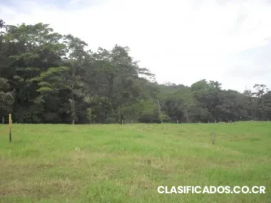 Vendo lote en la marina, san carlos de 5000 metros cuadrados.