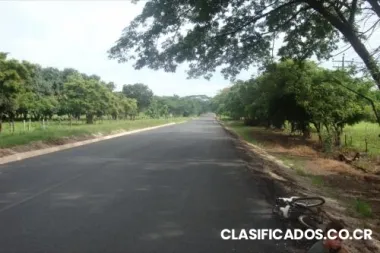 Vendo lote en lepanto, costa rica