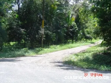 Vendo lote en manzanillo $6