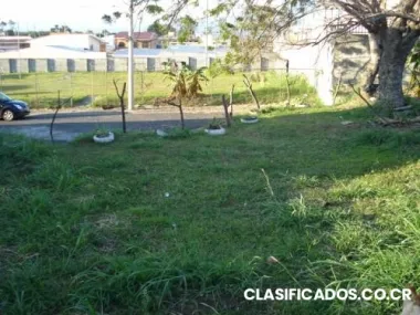 Vendo lote en san francisco de heredia