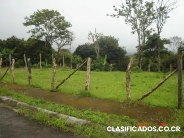 Vendo lote san pablo de heredia