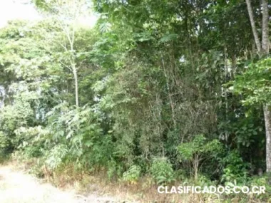 Vendo lotes a buen precio cerca de las playas