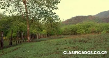 Vendo lotes en guanacaste