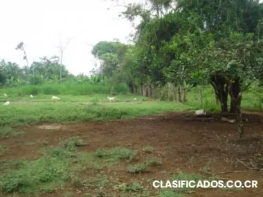 Vendo lotes en pital de san carlos