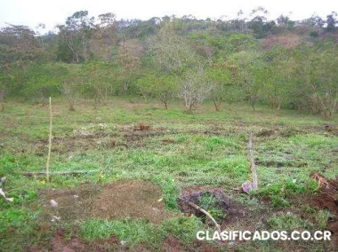 Vendo lotes en sancarlos, ciudad quesada
