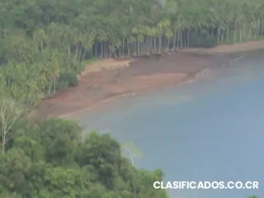 Vendo media hectarea ( excelente precio)