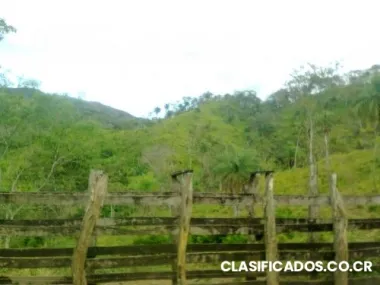 Vendo o cambio finca en miramar