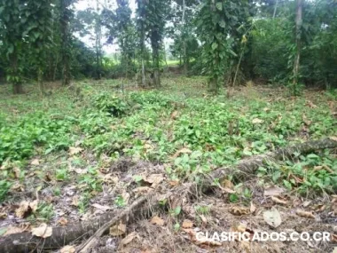 Vendo o cambio lote en la fortuna de san carlos