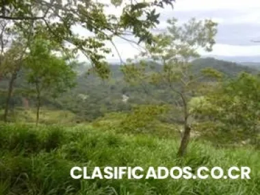 Vendo propiedad especial para desarrollar complejo turístico