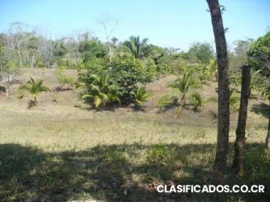 Vendo quinta en delicias de cobano