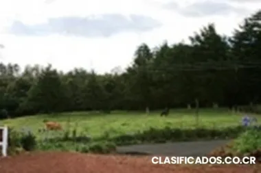 Vendo quintas en poás