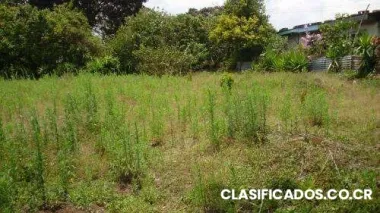 Vendo terreno san isidro heredia 465m2