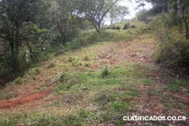 Venta de finca en tabarcia 1 hectarea