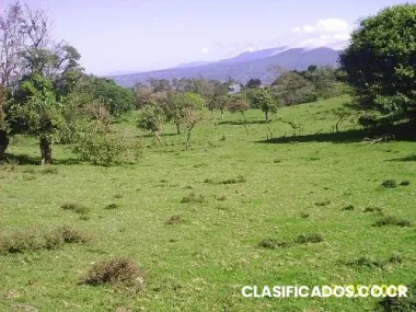 Venta de lote en coronado