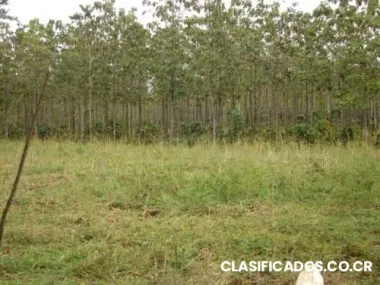 Venta de lotes en pital de san carlos