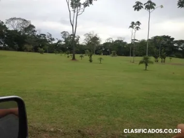 Venta de quintas en la alegria de siquirres