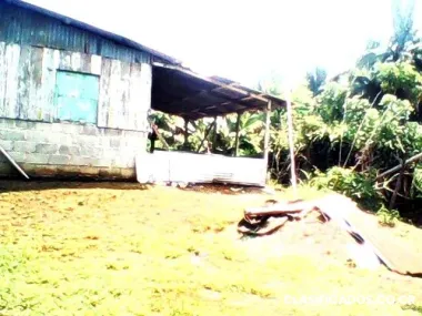 Venta de terreno en laurel corredores puntarenas costa rica