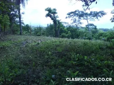 Venta / for sale lote