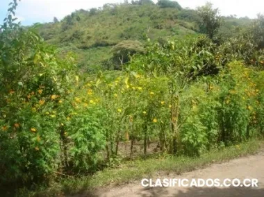 Vl-76.-lote a la venta