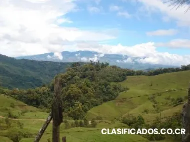 Vl-80.-de-oportunidad. lote a la venta. cartago. el guarco. san isidro.