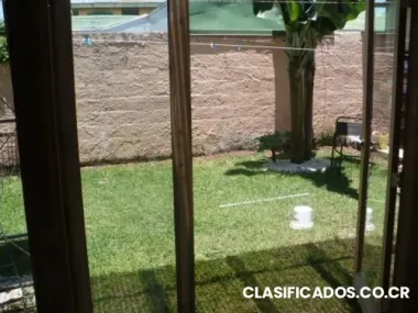 $230 ulatina / ucr habitación amueblada 300 m (detras del jazz cafe)