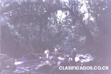 31 hectareas de naturaleza, a 12 kilometros de guapiles