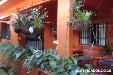 Apartamento bonito y seguro, servicios incluidos