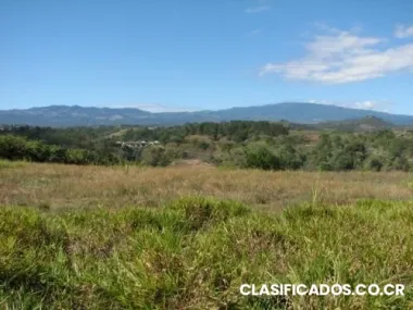 Atenas quinta de 5000m2 en el mejor clima para vivir