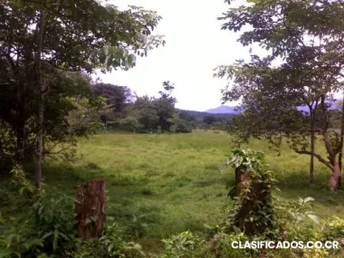 Busco inversionista o persona que desee invertir en compra y ventas de tierras