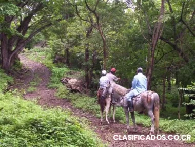 Busco socio capitalista