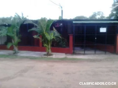 Casa de alquiler en curime bonita y barata